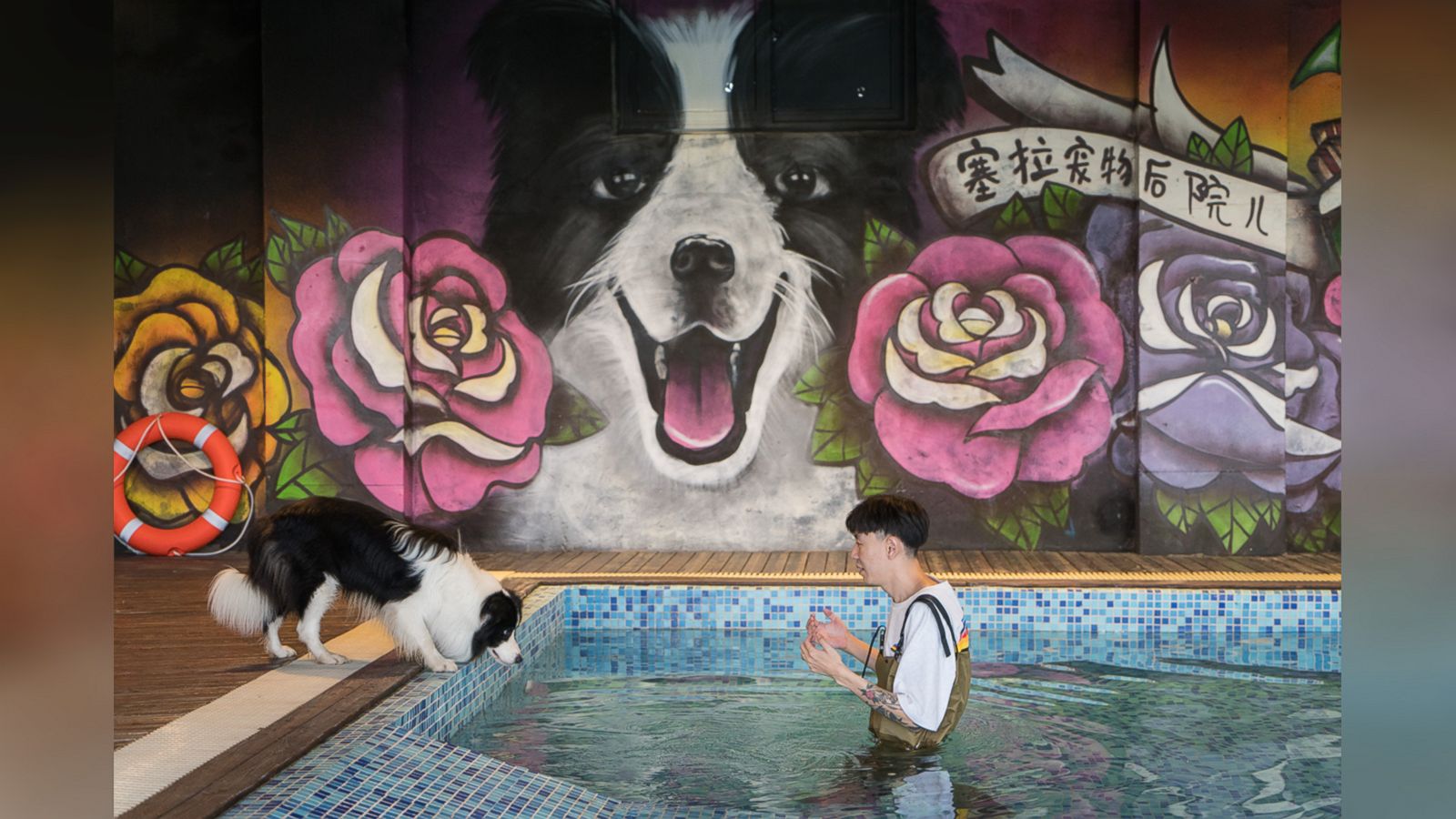 VIDEO: This dog is living his best life in his very own pet mansion