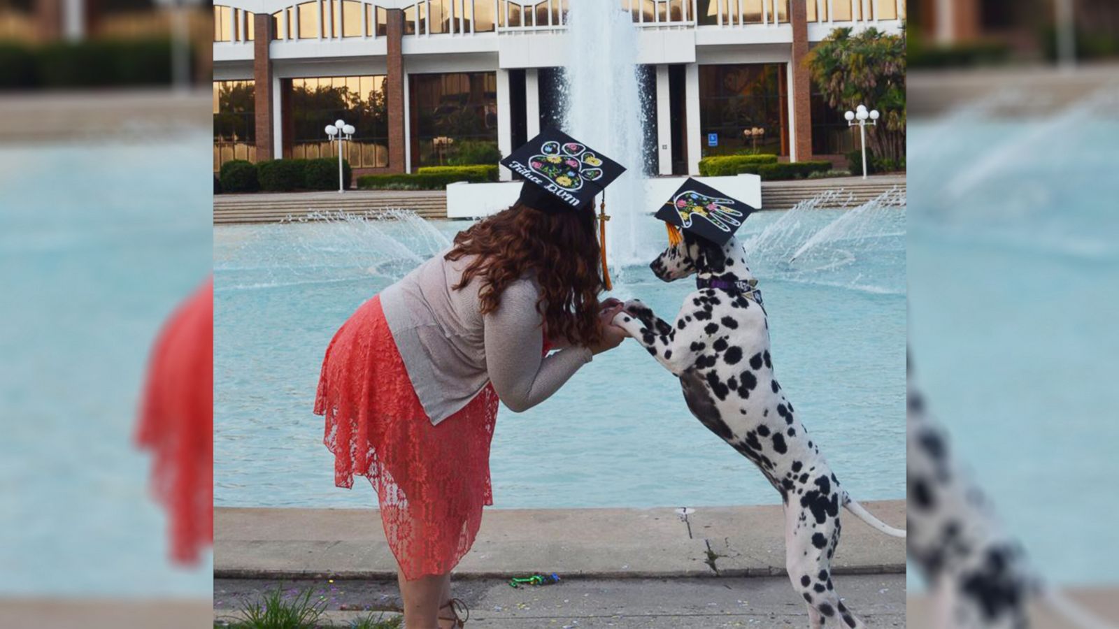 VIDEO: Sweet service dog receives her very own cap at owner's graduation