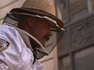 WATCH: NYPD beekeeper called to take on thousands of bees in Times Square