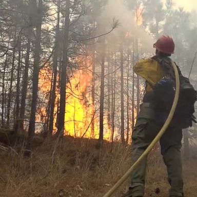 VIDEO: California residents rush to evacuate wildfire