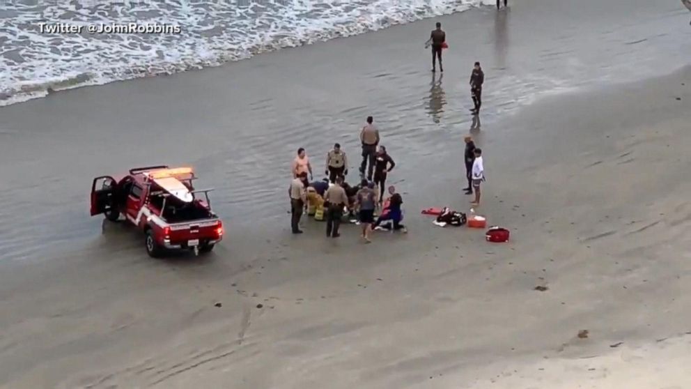 Video Boy, 13, in critical condition after being bit by a great white ...