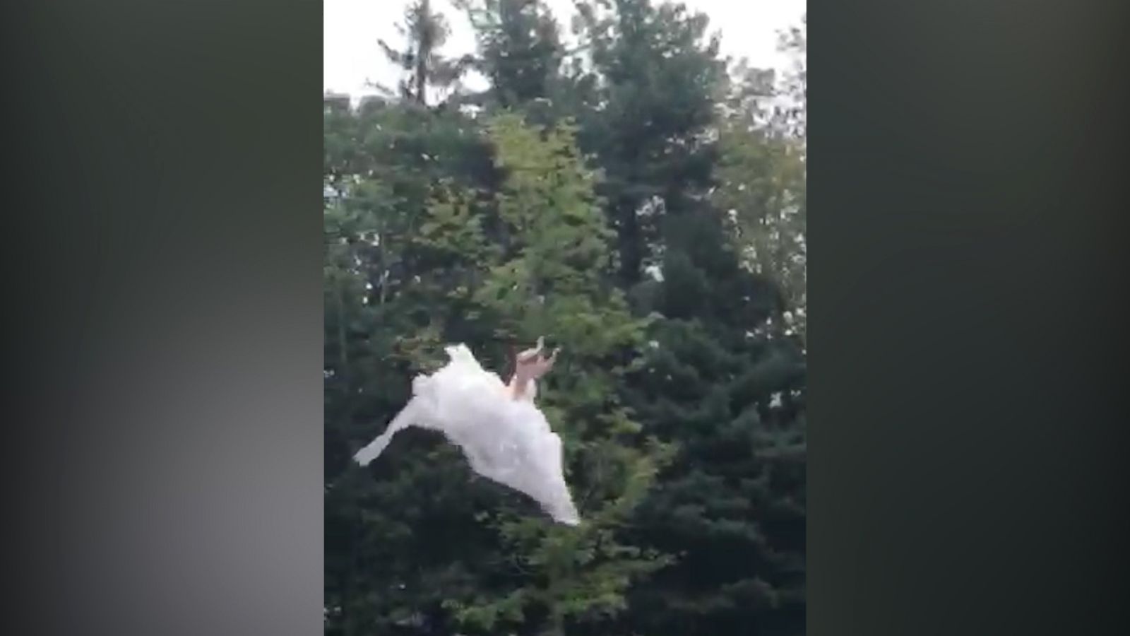 VIDEO: This out-of-the box bride 'blobs' into a lake in her wedding dress