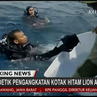 VIDEO: Divers recover missing black box after Lion Air plane crash