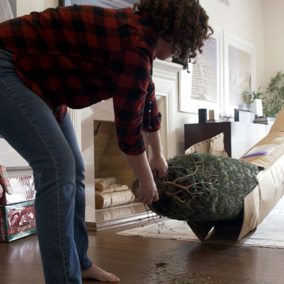 VIDEO: Amazon to start delivering fresh, full-sized Christmas trees