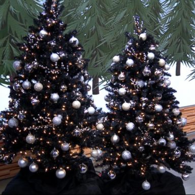 VIDEO: Black Christmas trees are on trend this holiday season