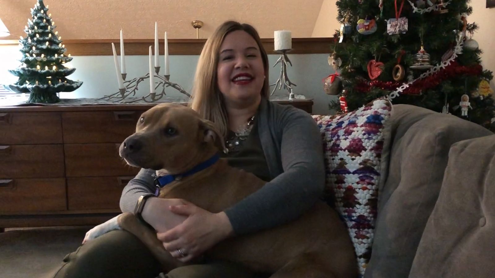 VIDEO: 'Holiday Sleepovers' are getting dogs adopted from this Ohio shelter