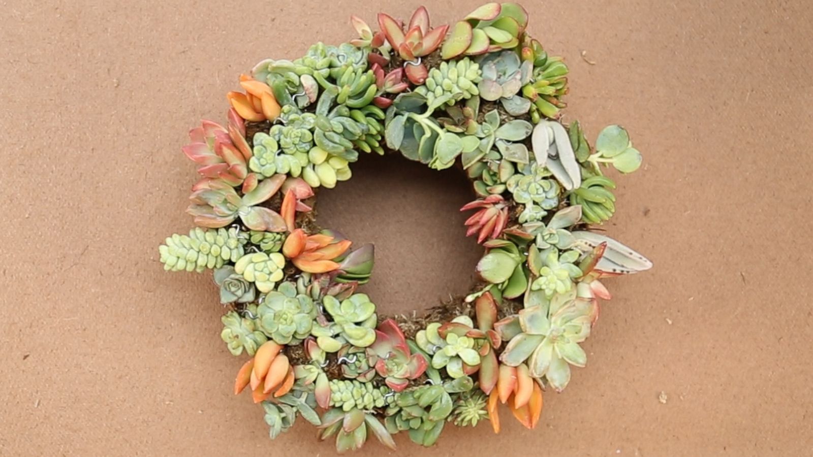 VIDEO: This DIY succulent wreath is major holiday decor goals