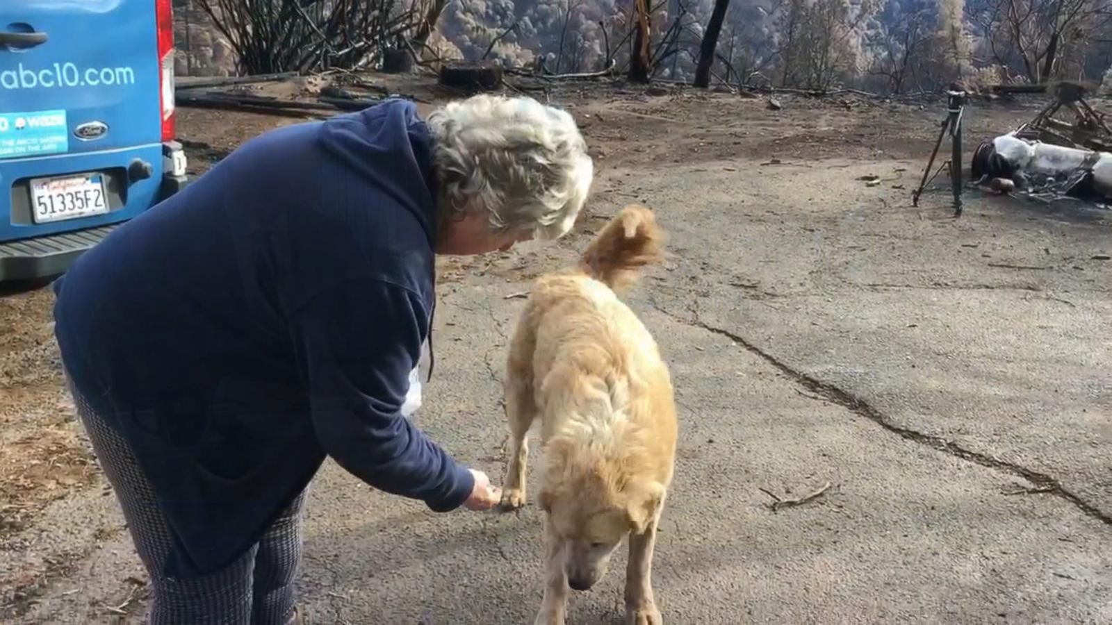 VIDEO: Homeowner finds dog upon return to property after catastrophic wildfire