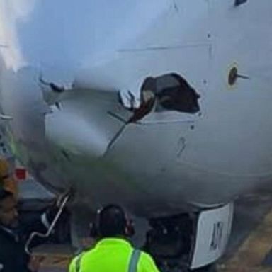 VIDEO: An Aeromexico flight may have been struck by a drone