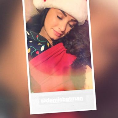 VIDEO: Demi Lovato posts sweet Christmas photos with her family and dogs