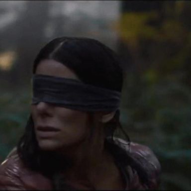 VIDEO: Sandra Bullock's 'Bird Box' breaks Netflix record