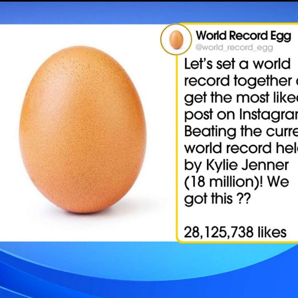 How & Why The World Record Egg Is The Most Popular Photo Ever