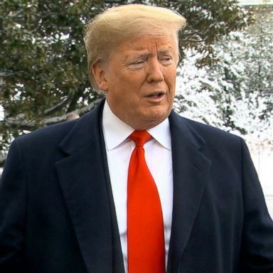 VIDEO: Trump cancels Pelosi's foreign trip amid shutdown