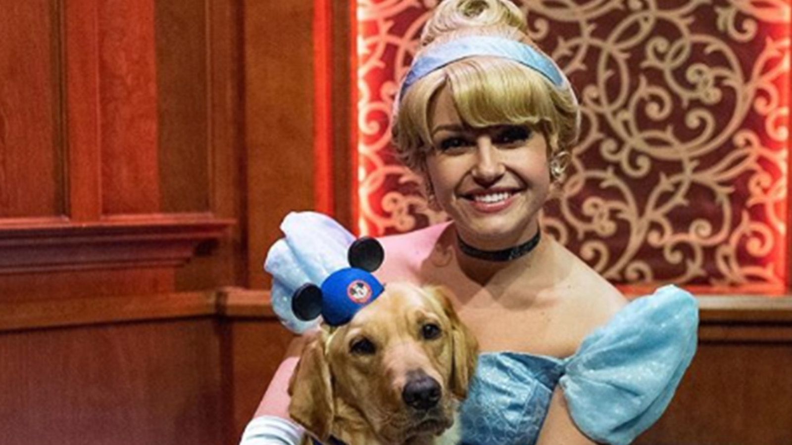 VIDEO: Service dog cuddles with Cinderella at Disneyland in adorable video