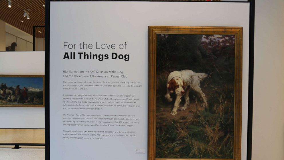 VIDEO: The History of Dogs as Pets