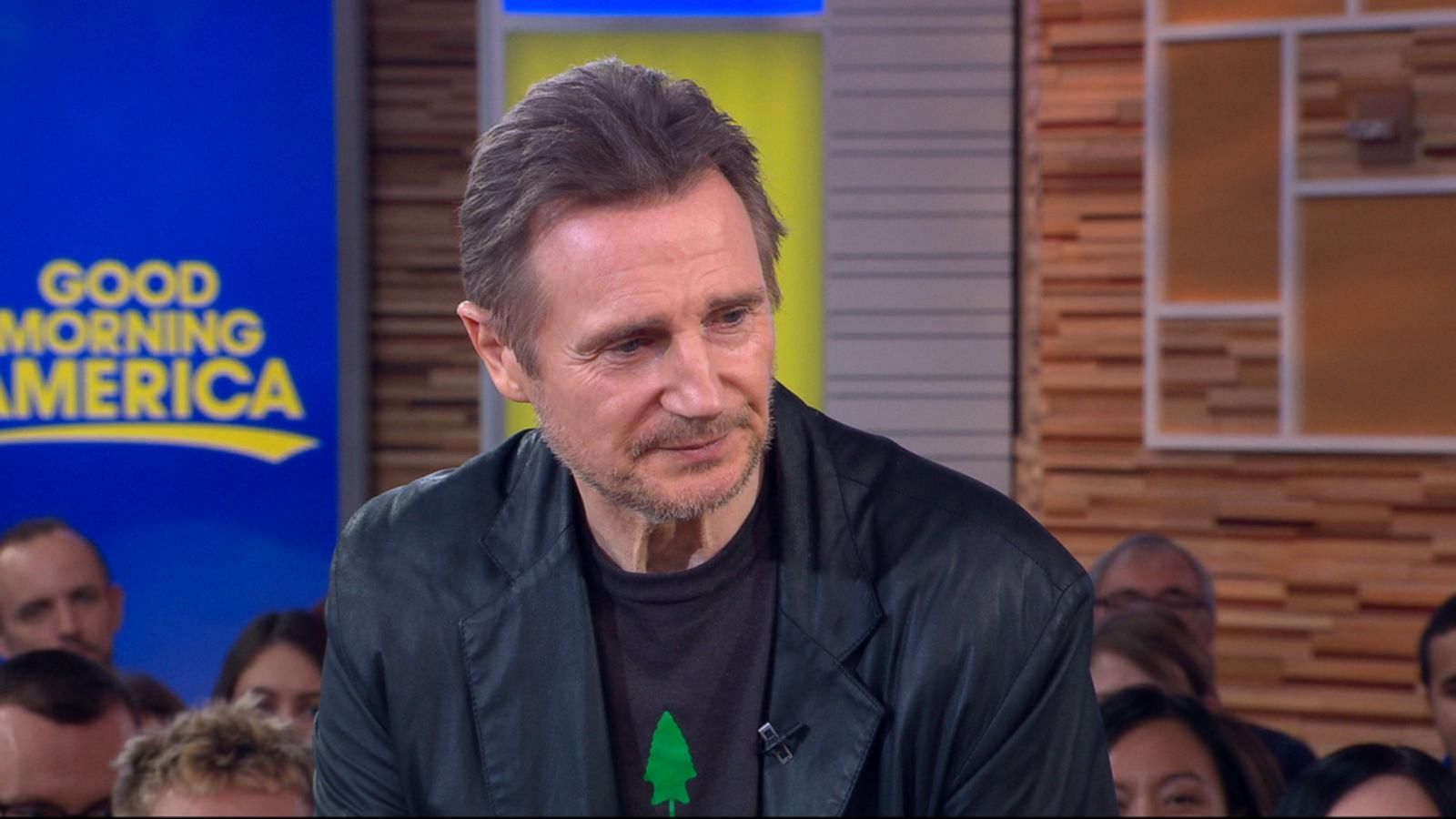 Liam Neeson upsets Narnia fans by claiming Aslan could also be