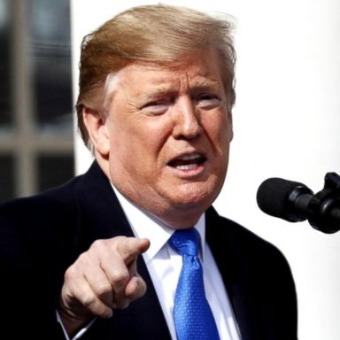 VIDEO: Trump declares national emergency to build southern border wall