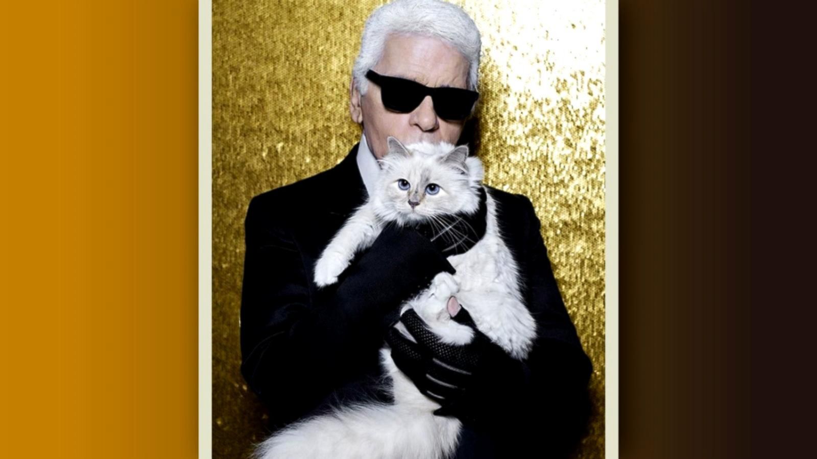 'GMA' Hot List: Karl Lagerfeld's cat will reportedly inherit some of ...