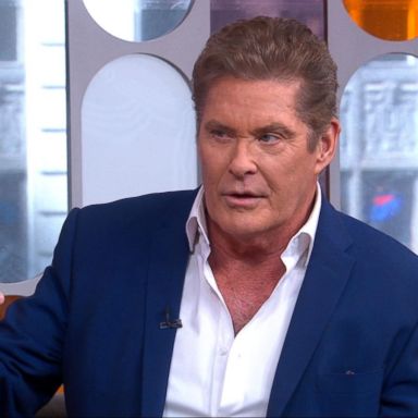 VIDEO: Don't hassle the Hoff!