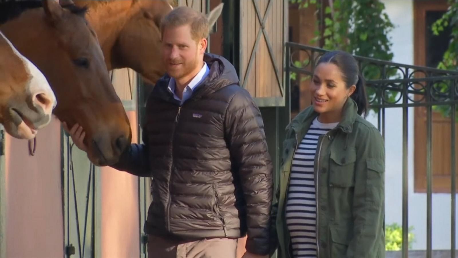 VIDEO: Harry, Meghan pet a horse, exchange cookbook with famous chef on Morocco tour