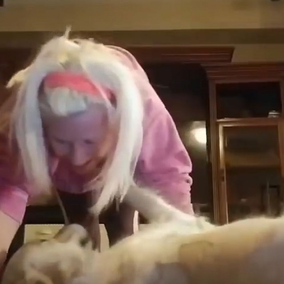 VIDEO: Sweet service dog interrupts yoga routine