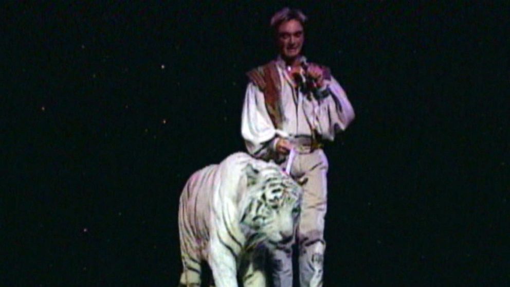 Video New allegations about onstage attack in Siegfried and Roy show - ABC  News