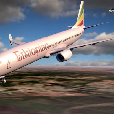 VIDEO: New details on pilots' actions in Ethiopian Airlines crash