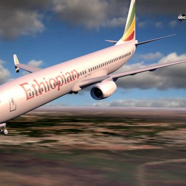 VIDEO: Sensor damage led to Ethiopian Airlines crash: Officials