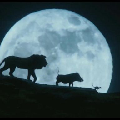 VIDEO: See Scar, Timon and Pumbaa and more in new 'Lion King' live-action trailer