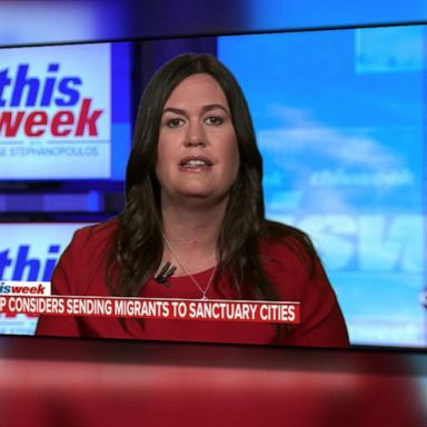 VIDEO: WH says sanctuary cities plan 'on the table' 