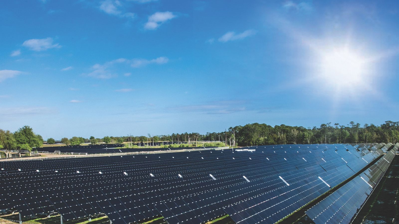 VIDEO: Disney World unveils solar farm larger than the entire Magic Kingdom