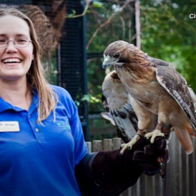 VIDEO: Zookeeper mauled by tiger identified