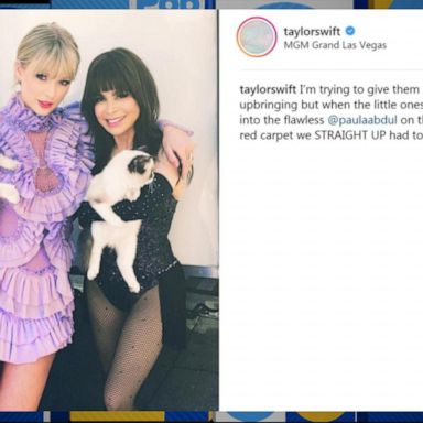 VIDEO: Taylor Swift posts a pic of her and her cats with Paula Abdul from the BBMAs