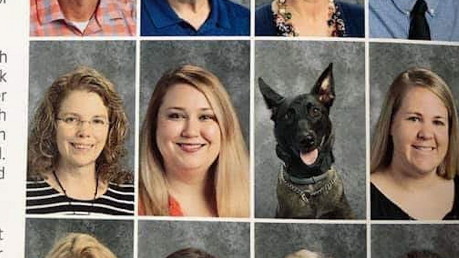 VIDEO: Proud K9 is all smiles in her adorable high school yearbook photo