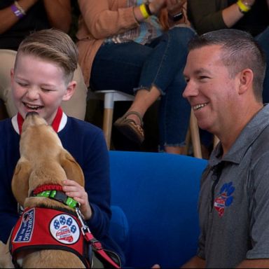 VIDEO: Boy with Type 1 diabetes surprised with specially trained dog on 'GMA'