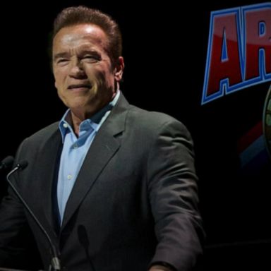 VIDEO: Schwarzenegger kicked by man but won't press charges