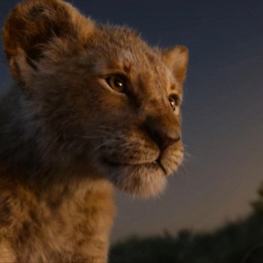 VIDEO: Beyonce, Donald Glover sing 'Can You Feel The Love Tonight' in 'Lion King' trailer