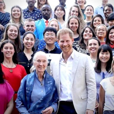 VIDEO: Prince Harry meets with renowned conservationist Jane Goodall