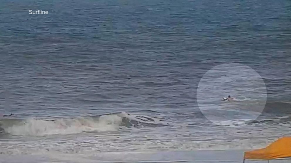 3 Victims In Florida Recover From Shark Attack