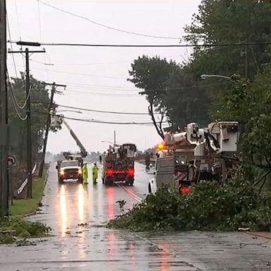 VIDEO: Tornado takes down trees, power lines in New Jersey