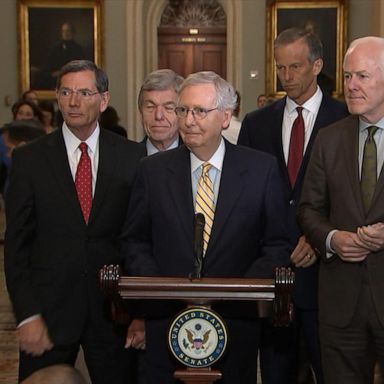 VIDEO: McConnell expects new gun legislation in September