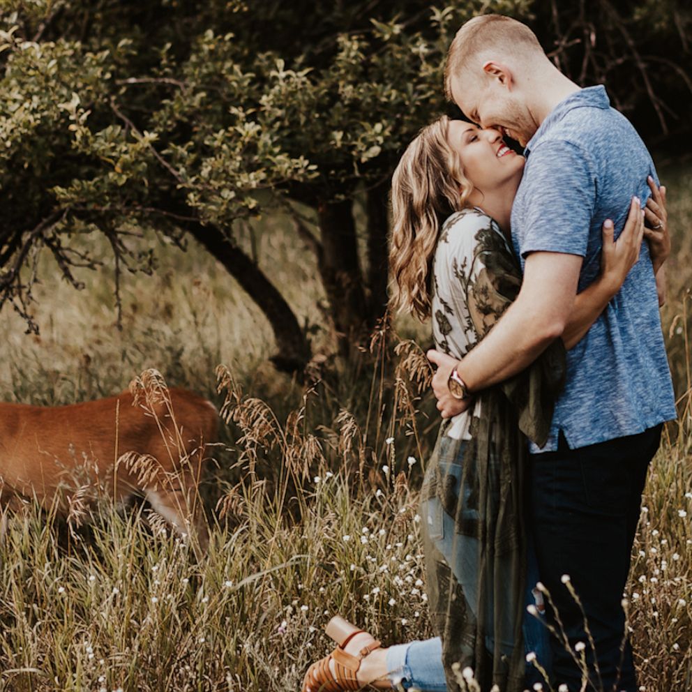 Video Oh deer! Cute woodland animal photobombs couple's engagement photos -  ABC News