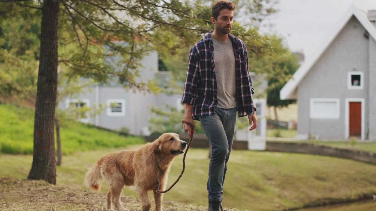 VIDEO: Have you been 'dogfished' or tricked into a date because of a cute dog?