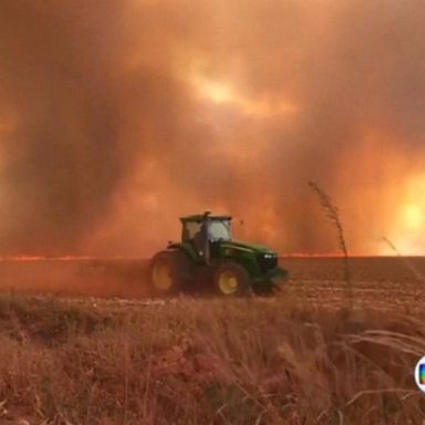 VIDEO: Record wildfires rage in Amazon rain forest 