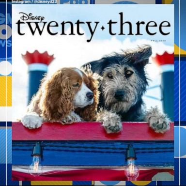 VIDEO: Disney casts shelter dog for ‘Lady and the Tramp’ remake