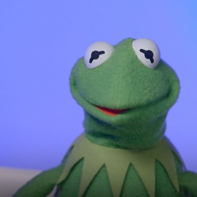 VIDEO: ‘The Muppets’ is coming to Disney+ and Kermit the Frog dishes on latest romance news