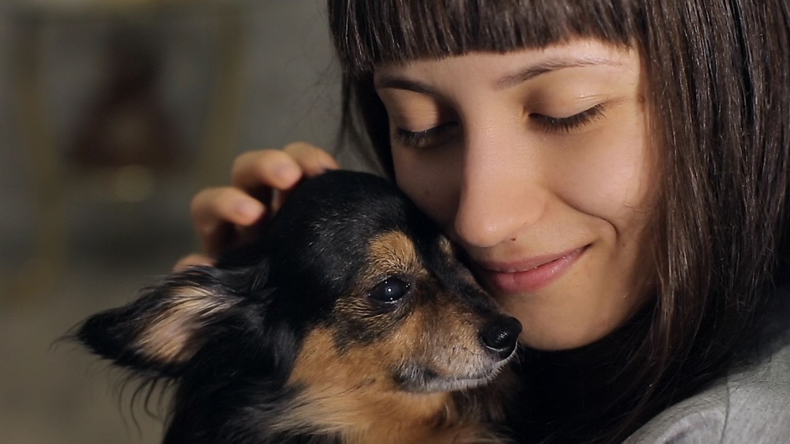 VIDEO: Happy National Dog Day! Here's how dogs can improve your mental health