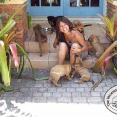 Bahamian woman shelters nearly 100 dogs during Dorian 