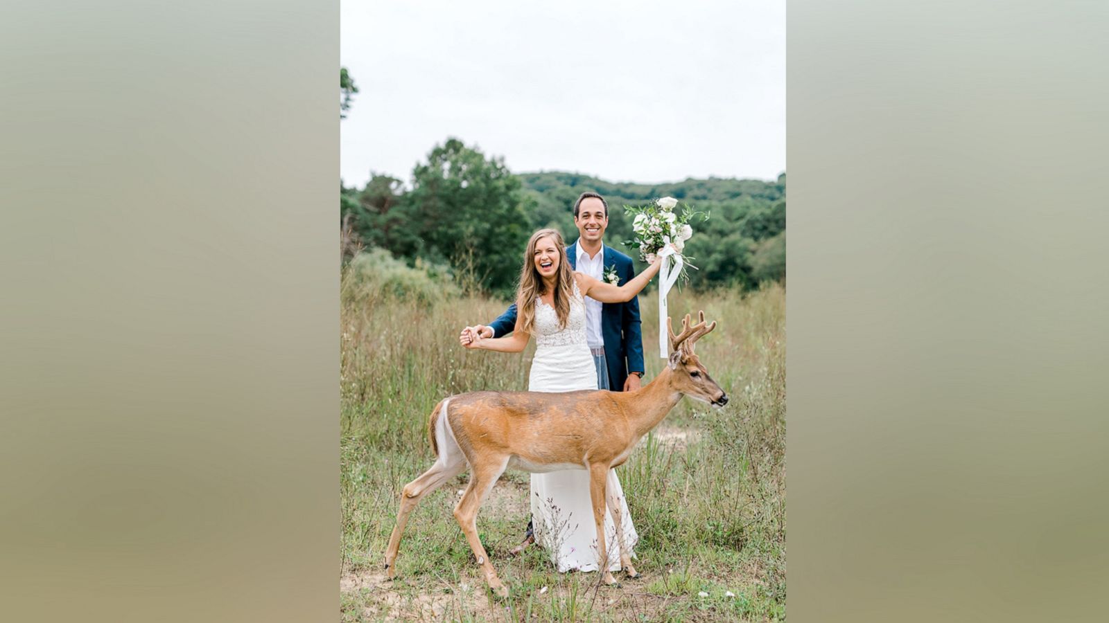 VIDEO: 'Til deer doe us part: Deer photo-bombs wedding photos