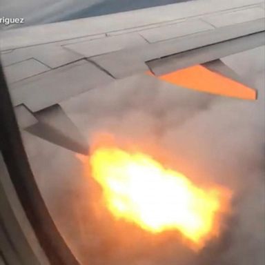 VIDEO: Plane passengers see flames after bird strike